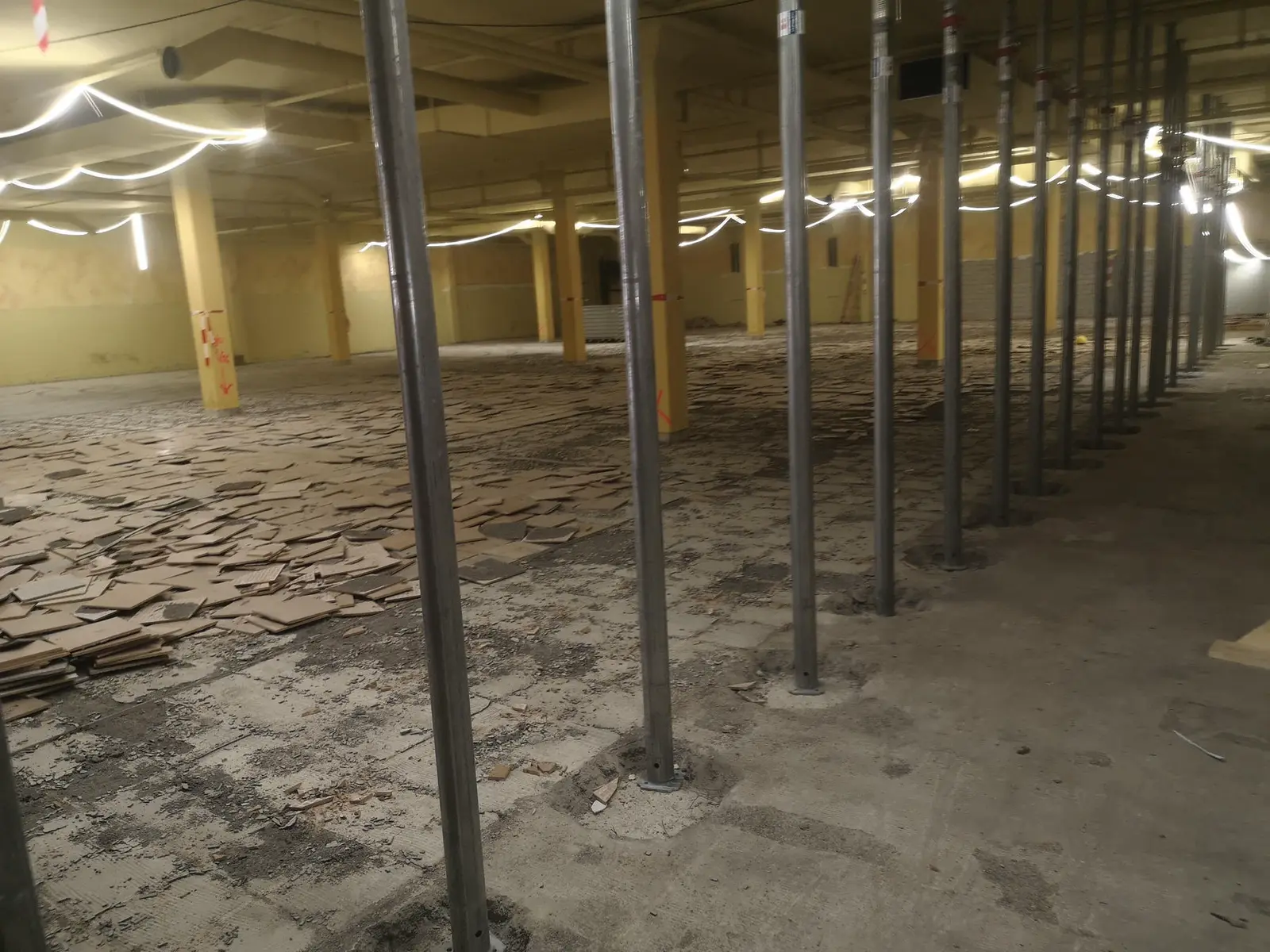 Entkerntes Einkaufszentrum Reina mit Spriessen